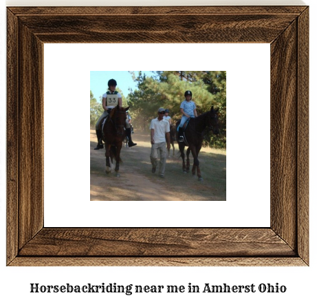 horseback riding near me in Amherst, Ohio